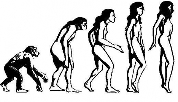 Эволюция. 8 женщин