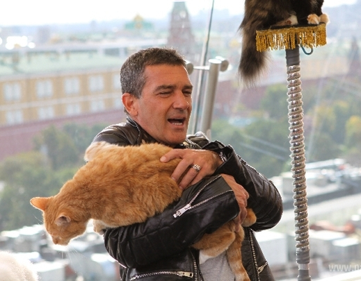 Антонио Бандерас повздорил с кошками Куклачева