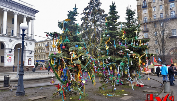 Что сегодня посмотреть на Майдане: много елок и выставка фотокорреспондентов (ФОТО)