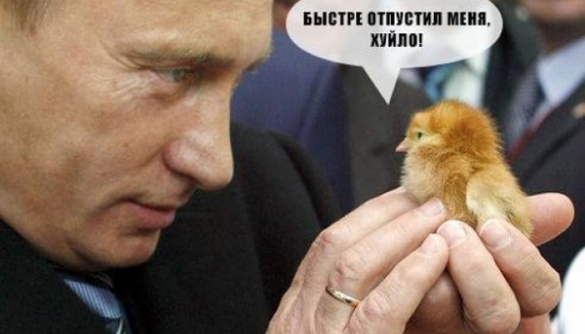 «Путин - ху*ло! »: 15 лучших доказательств  (ФОТО)