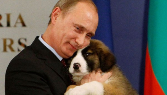 Собаки Мариуполя запели гимн России (ВИДЕО)