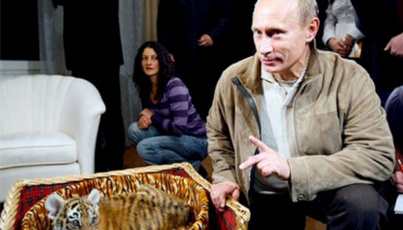Усыплять русских детей в «Спокойной ночи, малыши» будет 3D-тигренок Путина