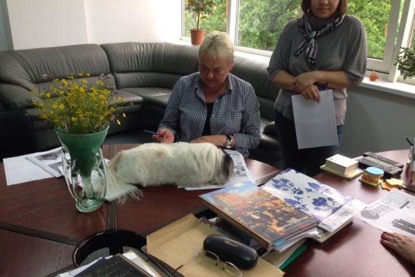 Не котиками едиными: редакцию «Дня» на труд вдохновляет собака главреда (ФОТО)
