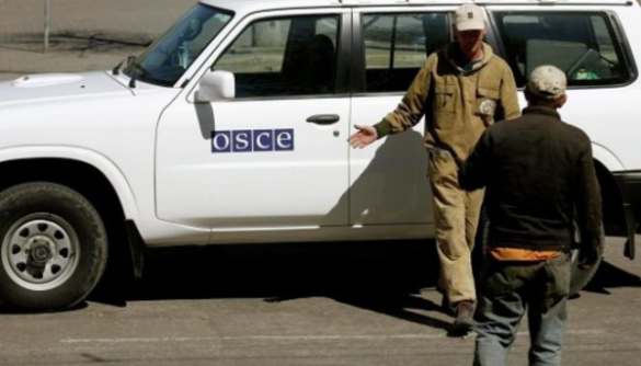 Журналисты заставили миссию ОБСЕ бросить пить