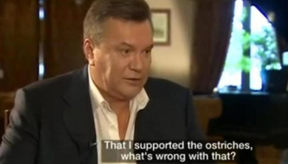 «Что плохого, что я поддерживал страусов?» – Янукович дал интервью ВВС (ВИДЕО)