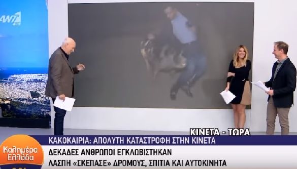 На грецького журналіста під час включення в прямому ефірі напала свиня