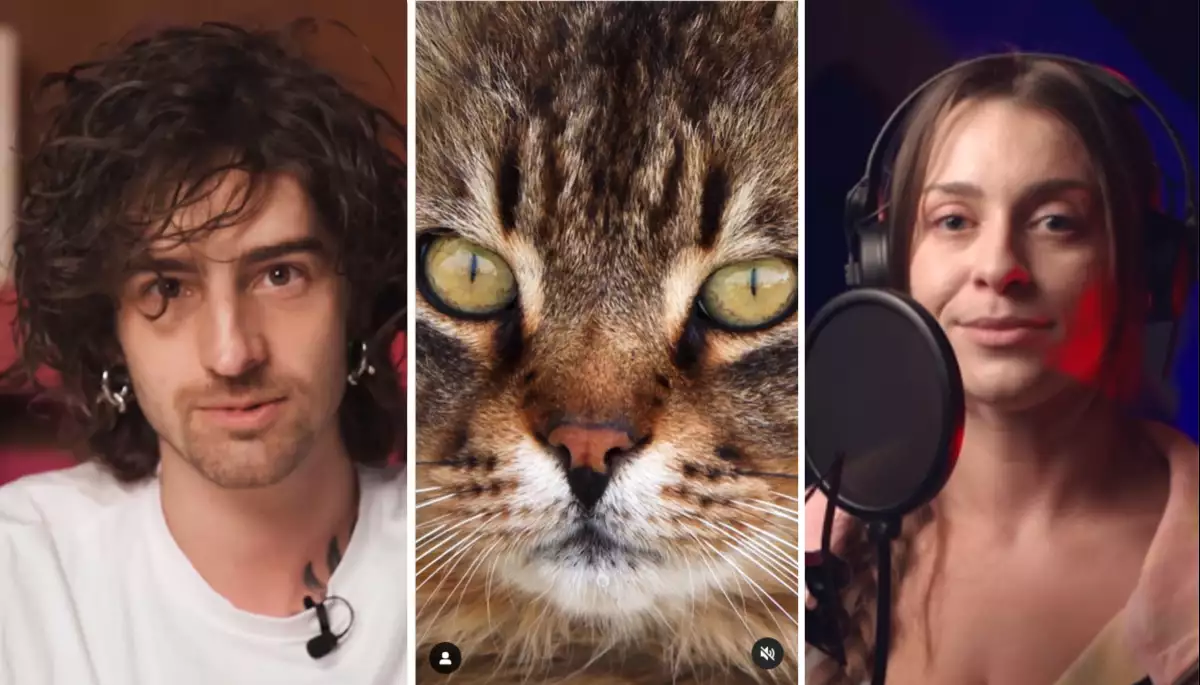 Сором, кринж чи хороша ідея. У соцмережах критикують UAnimals через відео про порносайт для котів